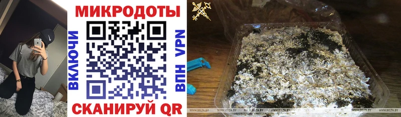 где найти наркотики  Углегорск  Галлюциногенные грибы Psilocybe 